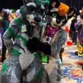 Biggest Little Fur Con 2025