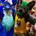 Biggest Little Fur Con 2025