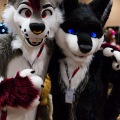 Biggest Little Fur Con 2025