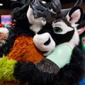 Biggest Little Fur Con 2025