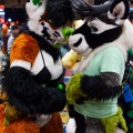 Biggest Little Fur Con 2025