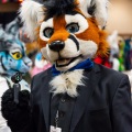 Biggest Little Fur Con 2025
