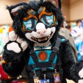Biggest Little Fur Con 2025