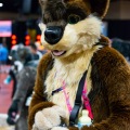 Biggest Little Fur Con 2025
