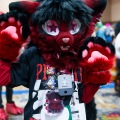 Biggest Little Fur Con 2025