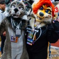 Biggest Little Fur Con 2025