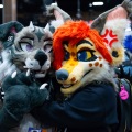 Biggest Little Fur Con 2025