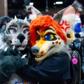 Biggest Little Fur Con 2025