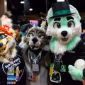 Biggest Little Fur Con 2025