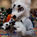 Biggest Little Fur Con 2025