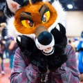 Biggest Little Fur Con 2025