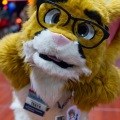 Biggest Little Fur Con 2025