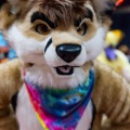 Biggest Little Fur Con 2025