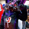 Biggest Little Fur Con 2025