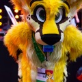 Biggest Little Fur Con 2025