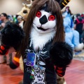 Biggest Little Fur Con 2025