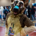 Biggest Little Fur Con 2025