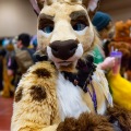 Biggest Little Fur Con 2025