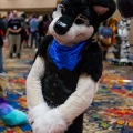 Biggest Little Fur Con 2025