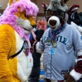 Biggest Little Fur Con 2025