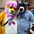 Biggest Little Fur Con 2025