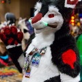 Biggest Little Fur Con 2025