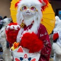 Biggest Little Fur Con 2025