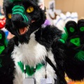 Biggest Little Fur Con 2025
