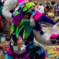 Biggest Little Fur Con 2025
