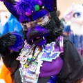 Biggest Little Fur Con 2025