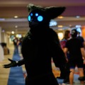 BLFC 2026 Day 0