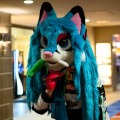 BLFC 2026 Day 0