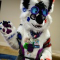 BLFC 2026 Day 0