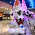 BLFC 2026 Day 0