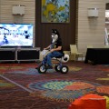 Biggest Little Fur Con 2026 Day 2