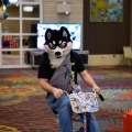 Biggest Little Fur Con 2026 Day 2