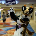 Biggest Little Fur Con 2026 Day 2