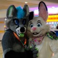 Biggest Little Fur Con 2026 Day 2