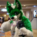 Biggest Little Fur Con 2026 Day 2
