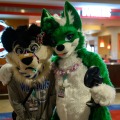 Biggest Little Fur Con 2026 Day 2