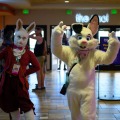 Biggest Little Fur Con 2026 Day 2