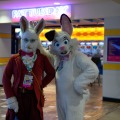 Biggest Little Fur Con 2026 Day 2