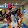 Biggest Little Fur Con 2026 Day 2