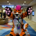 Biggest Little Fur Con 2026 Day 2