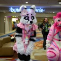 Biggest Little Fur Con 2026 Day 2