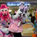 Biggest Little Fur Con 2026 Day 2
