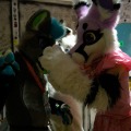 Biggest Little Fur Con 2026 Day 2