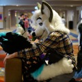 Biggest Little Fur Con 2026 Day 2