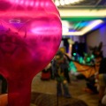 BIggest Little Fur Con 2026 Day 3