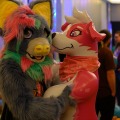 BIggest Little Fur Con 2026 Day 3